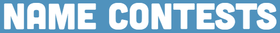 NameContests logo